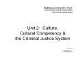 Unit 2: Culture, Cultural Competency PowerPoint PPT Presentation