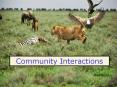 Community Interactions PowerPoint PPT Presentation