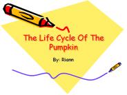 The Life Cycle Of The Pumpkin