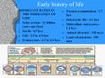 Early history of life PowerPoint PPT Presentation