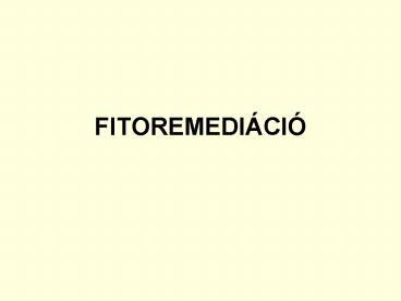FITOREMEDI