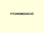 FITOREMEDI