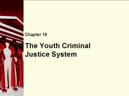 The Youth Criminal Justice System