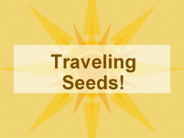 Traveling Seeds!