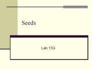 Seeds