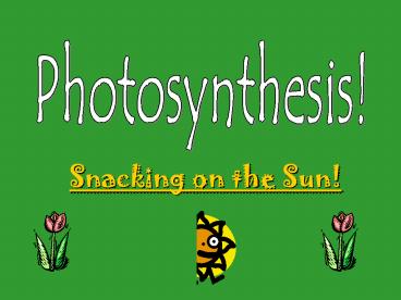 Snacking on the Sun!