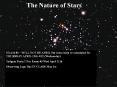 The Nature of Stars PowerPoint PPT Presentation