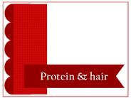Protein & hair