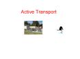 Active Transport PowerPoint PPT Presentation