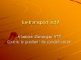 Le transport actif PowerPoint PPT Presentation