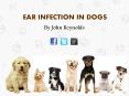 Ear Infection in Dogs: Causes, Treatments and Prevention PowerPoint PPT Presentation