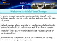 Mold Inspection Services Chicago