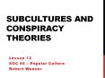 Subcultures and conspiracy theories PowerPoint PPT Presentation