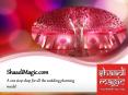 Big Indian Wedding: Website For Wedding Plans: Shaadi Magic PowerPoint PPT Presentation