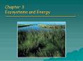 Chapter 3 Ecosystems and Energy PowerPoint PPT Presentation