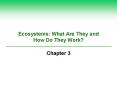 Ecosystems: What Are They and How Do They Work? PowerPoint PPT Presentation