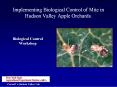 Implementing Biological Control of Mite in Hudson Valley Apple Orchards. PowerPoint PPT Presentation