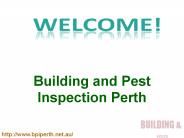 building and pest inspection
