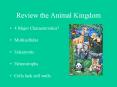 Review the Animal Kingdom PowerPoint PPT Presentation