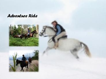 Enjoy Horse Riding Vacation