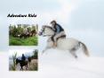 Enjoy Horse Riding Vacation (1) PowerPoint PPT Presentation