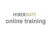 The best Hibernate online training