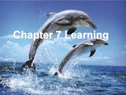 Chapter 7 Learning
