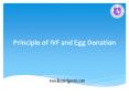 ivf and egg donation at kiran infertility center PowerPoint PPT Presentation