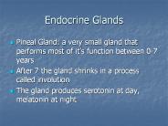 Endocrine Glands