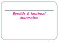 Eyelids PowerPoint PPT Presentation