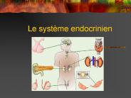 Le syst