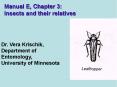 Manual E, Chapter 3: Insects and their relatives PowerPoint PPT Presentation