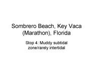 Sombrero Beach, Key Vaca (Marathon), Florida