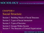 CHAPTER%204%20Social%20Structure
