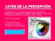 LEYES DE LA PERCEPCI