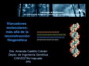 Diapositiva 1