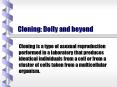Cloning: Dolly and beyond PowerPoint PPT Presentation