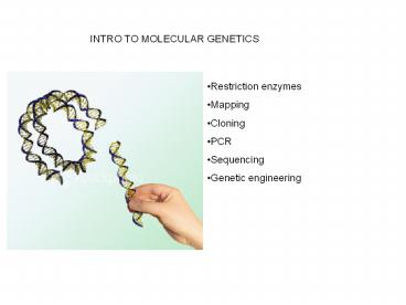 INTRO TO MOLECULAR GENETICS