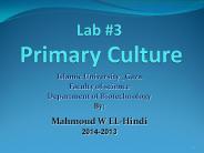 Lab 3 Primary Culture