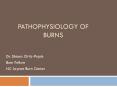 Pathophysiology of Burns PowerPoint PPT Presentation