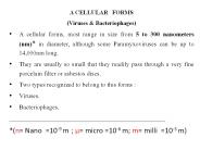 A CELLULAR  FORMS (Viruses