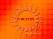 VIRUSES
