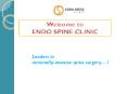 Endo Spine Clinic | back pain doctors in pune,best back pain doctors in pune,back pain specialist in pune PowerPoint PPT Presentation