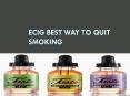 Ecig Best Way to Quit Smoking PowerPoint PPT Presentation