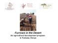 Furrows in the Desert An agricultural development program PowerPoint PPT Presentation