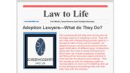 Adoption Lawyer What do They Do
