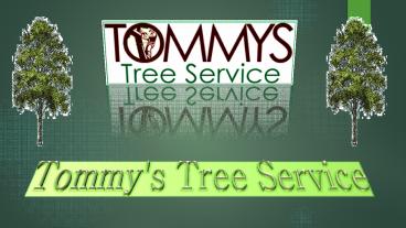 Tree  Removal—What you Should Know