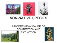 NON-NATIVE SPECIES