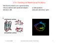 V11: Folding of Membrane Proteins PowerPoint PPT Presentation