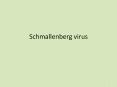 Schmallenberg virus PowerPoint PPT Presentation